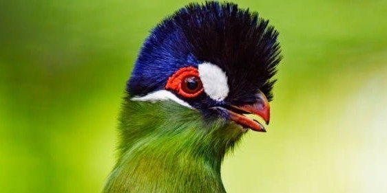 3 Days Tour for Unseen Things in Tanzania National Park