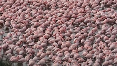 3 Days Tour for Unseen Things in Tanzania National Park