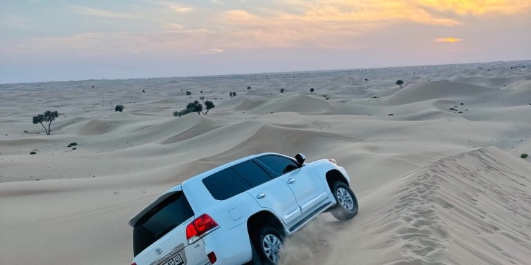 Abu Dhabi Desert Safari with Camel Ride BBQ Dinner and Live Shows
