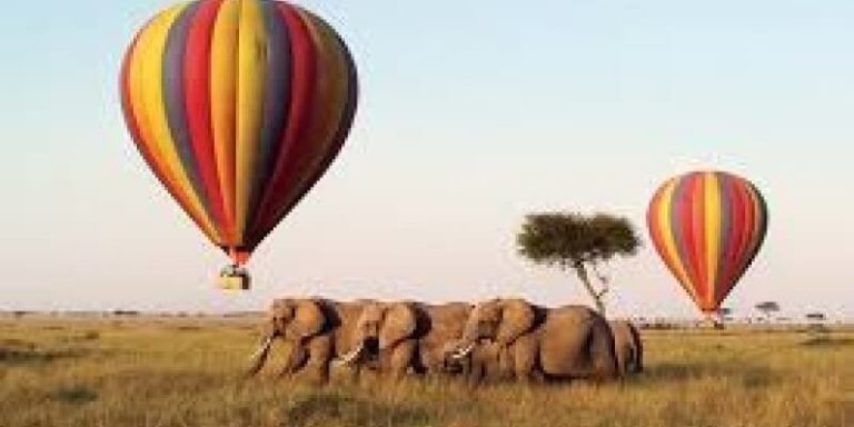 Maasai Mara Private Tour