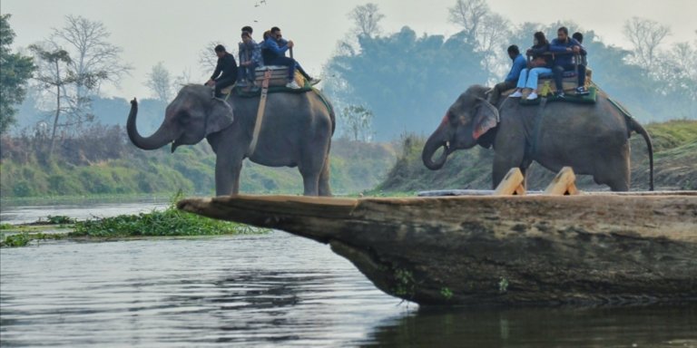 Jungle Safari in Chitwan