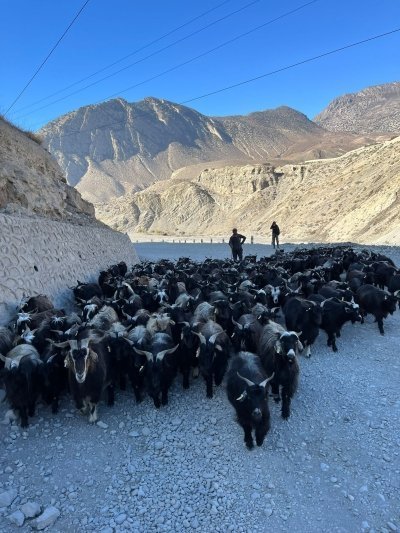 Classic Cycle Tour in Nepal
