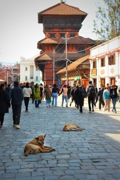 Family holiday tour in Nepal 9 days