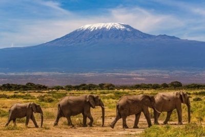 From Base to Summit of Mountain Kilimanjaro Tour