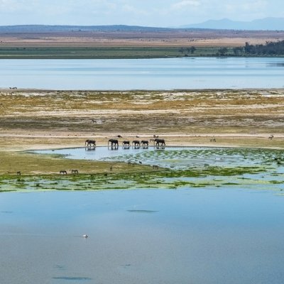 7 Masai Mara Adventure