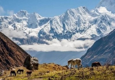 Manaslu Circuit Trek - 16 Days