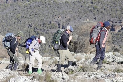 8 Days Kilimanjaro Private Hiking Lemosho Route