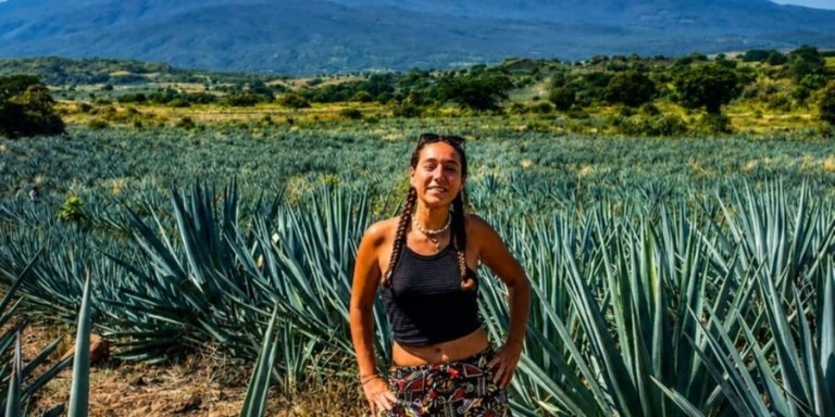 Tequila Tour and Cantaritos Full Day (From Guadalajara)