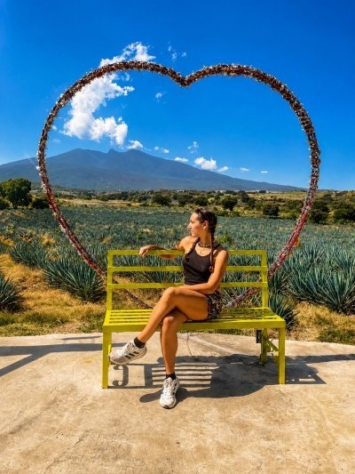 Tequila Tour and Cantaritos Full Day (From Guadalajara)