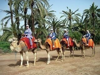 Marrakech Camel Ride Marrakech Camel Ride