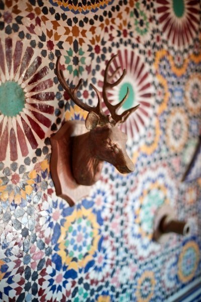 4-Day Imperial Cities Tour: Marrakech to Chefchaouen Adventure