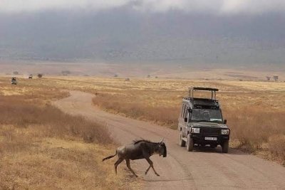 3 Days Authentic Tanzania Safari