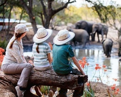 5 Days Tanzania Comfort Family Safari