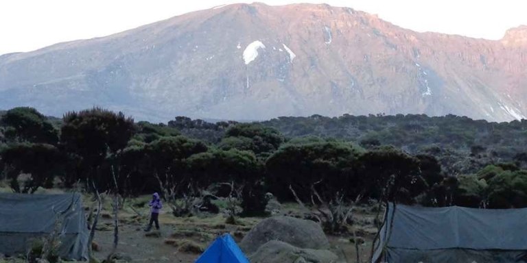 Kilimanjaro 8 Days Lemosho Route