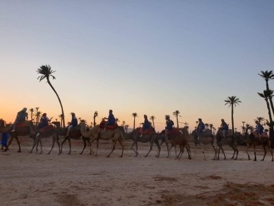 Marrakech Half-Day Camel Ride in Palm Grove Marrakech Half-Day Camel Ride in Palm Grove