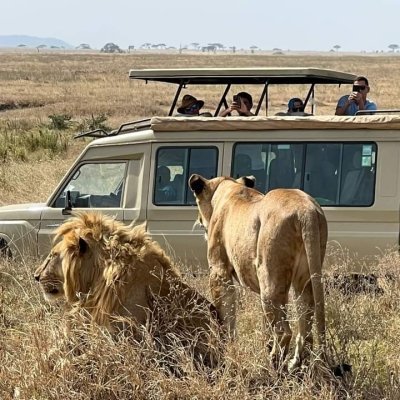 5-Day Wildlife Adventure: Masai Mara, Nakuru & Aberdares