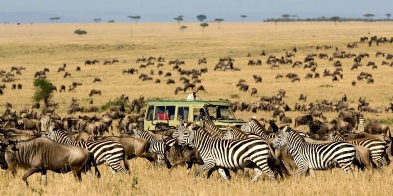 Explore Masai Mara & Lake Nakuru: 4-Day Group Safari