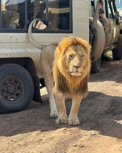 Explore Samburu: 3 Days of Wildlife Wonders