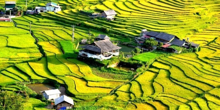 Les éthnies et splendides rizières en terrasse Nord-Ouest Vietnam