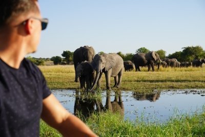 14 Days Kruger - Victoria Falls- Chobe NP- Okavango Delta Safari