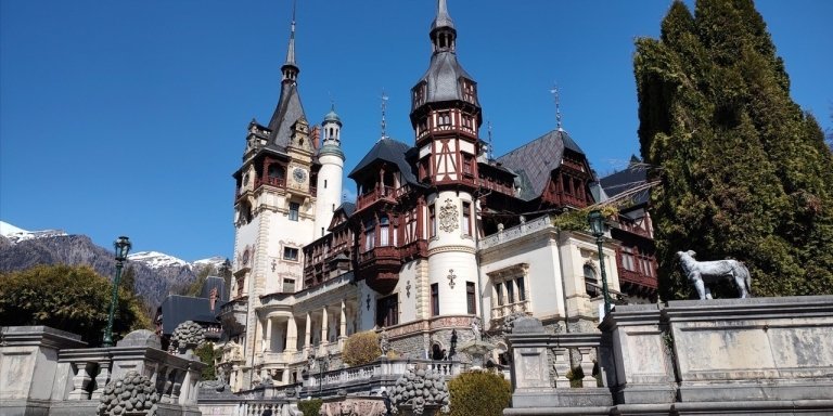 Brasov: Peles Castle, Bran Castle & Rasnov Fortress Day Tour