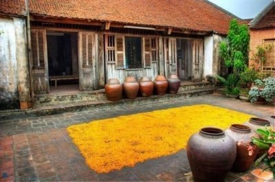 Hanoi: Duong Lam Ancient Village Full-Day Tour with Lunch