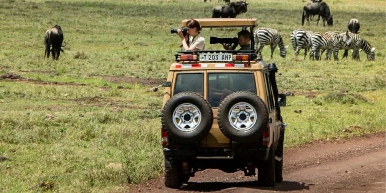 Tanzania Safari, Best Private Tour | Africa Finest Adventures