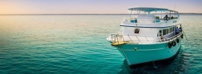 Swimming with Dolphins in Hurghada