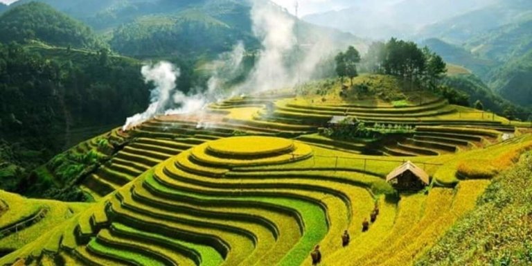 Hanoi: 2-Day Mai Chau & Puluong Adventure – Scenic Biking, Ethnic