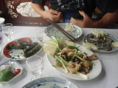 Hanoi: Le Mat Snake Village Tour with 10 Dishes