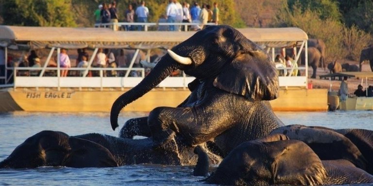 1 Day Chobe National Park Trip