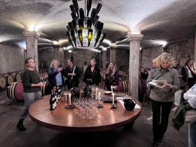 Cape finest Wine tour