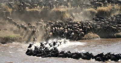 5-Day Great Migration Safari | Meilleur Tours