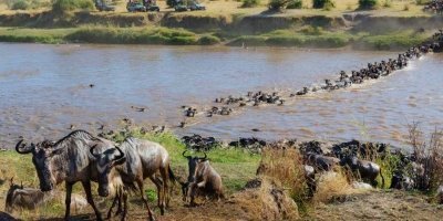 5-Day Great Migration Safari