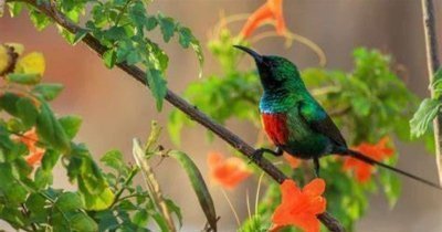 1-Day Trip Around Addis Ababa