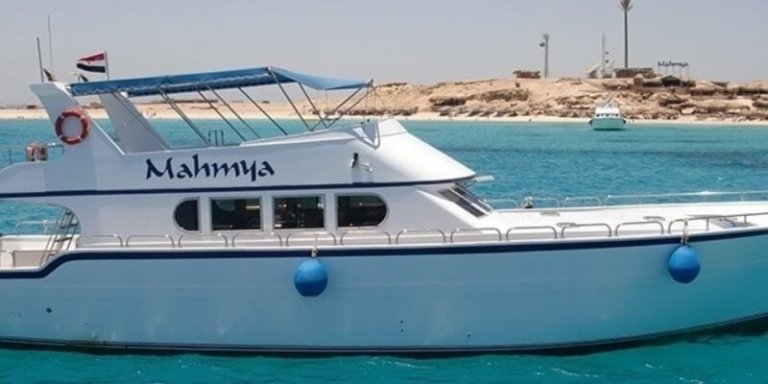 Snorkeling Tour to Ras Mohammed from Sharm El-Sheikh