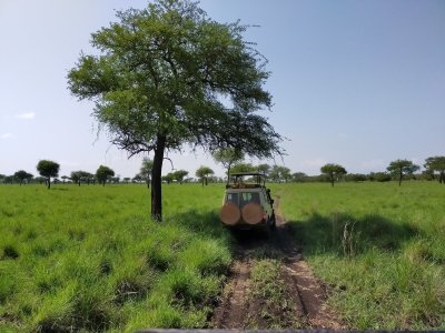 2Days Tanzania classic safari