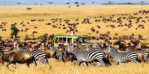 3Days Masai Mara safari in Kenya