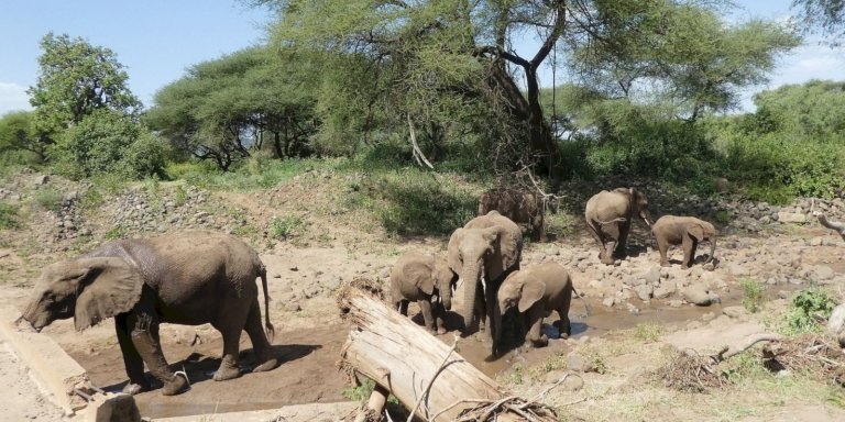 7-Day Tanzania Comfortable Adventure