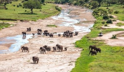 7-Day Tanzania Comfortable Adventure