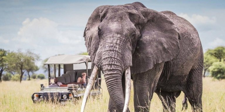 3-Day Tanzania Safari from Zanzibar