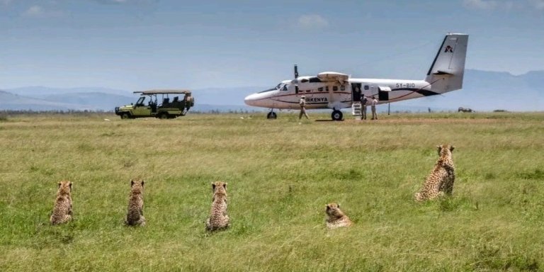 Experience Kenya’s Wilderness: 3-Day Maasai Mara Safari