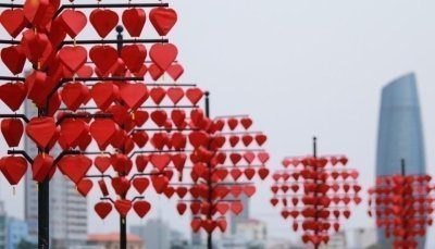 From Da Nang: Guided City Tour with Museums and Bridges