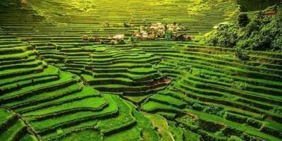 From Hanoi: Mai Chau Valley 2-Day Tour with Homestay