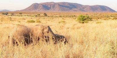 3-Day Tanzania Safari