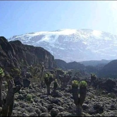 Lemosho Route Trekking Kilimanjaro in Tanzania - 8 Days