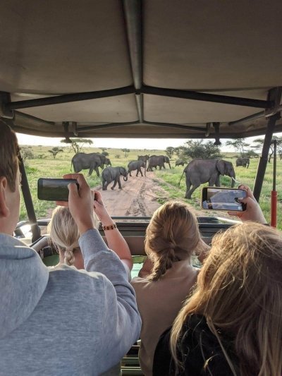 7-Day Thrilling Wildlife Safari in Tanzania