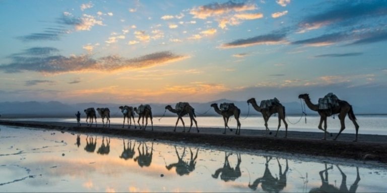 From Lalibela: 5-Day Danakil Depression and Lalibela Tour