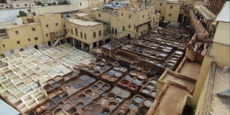 Fez city tour