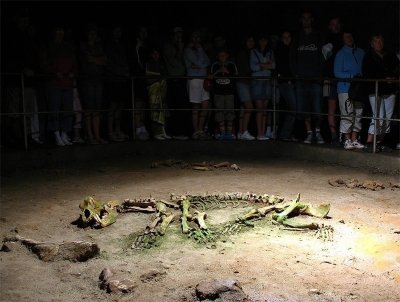 Bear's cave one day tour from Oradea